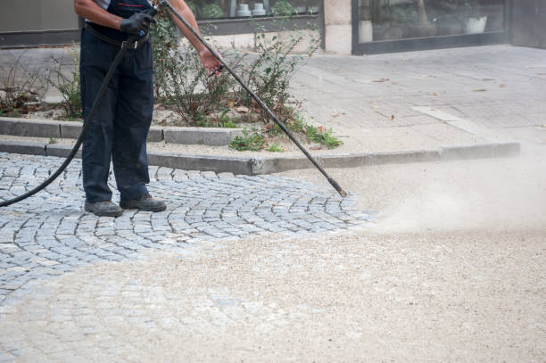 Best Driveway Cleaning and Restoration in Tonganoxie, KS